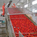 Red Tomato Production line ketchup sachet filling line